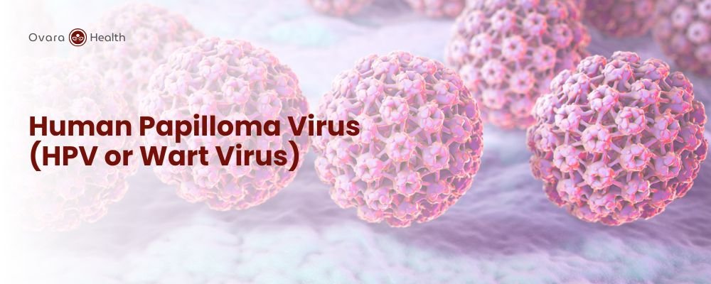 Ovara Health - Treatments - Human Papilloma Virus (HPV or Wart Virus)