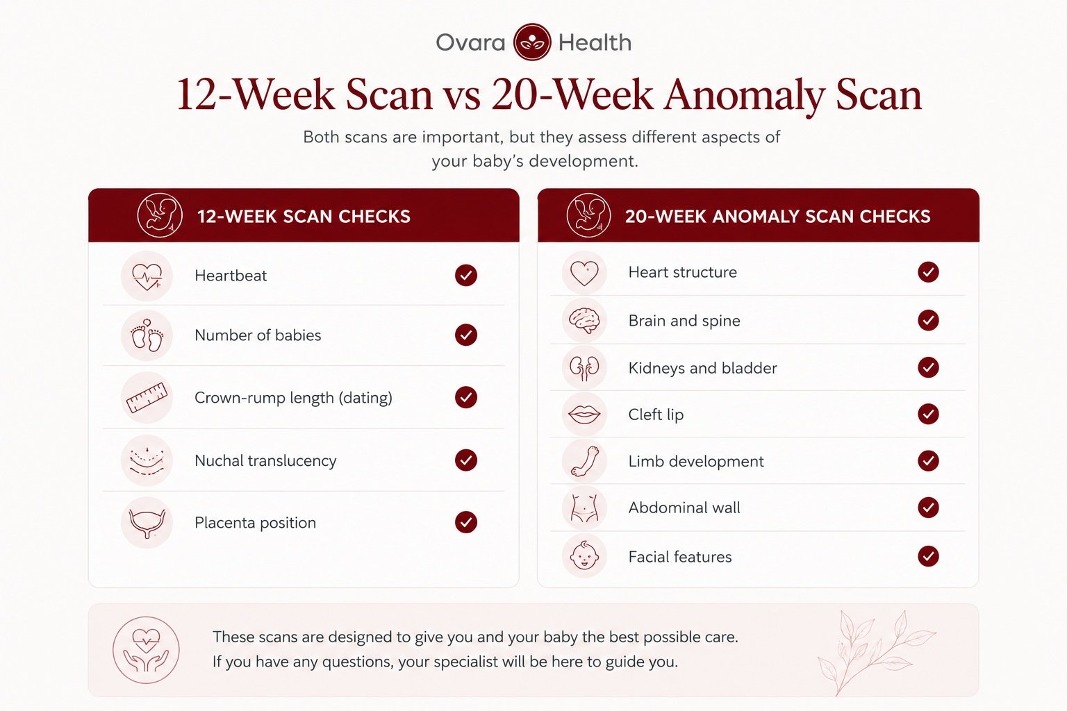 Diagram comparing what the 12-week scan checks against the 20-week anomaly scan at Ovara Health London